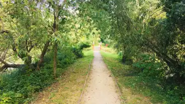 Szigetbecse Tozike Tanosveny 01