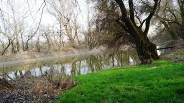 Szigetmonostor Vizkeloi Tanosveny 1