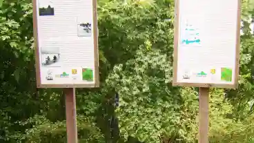 Szigliget Kamon Ko Tanosveny