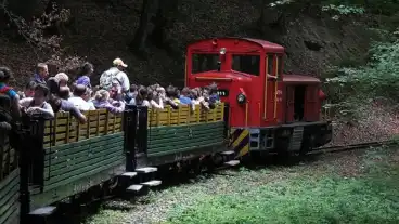 Szilvasvarad Erdei Vasut