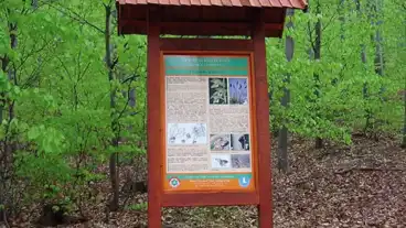 Szilvasvarad Milleniumi Tanosveny 1