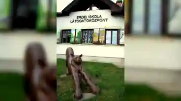 Szokolya Hiuz Haz Latogatokozpont 1