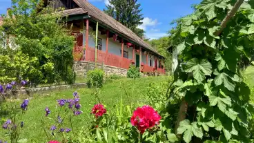 Szolosor Vendeghaz 001