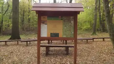 Szombathely Cinege Tanosveny