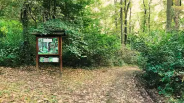 Tamasi Miklosvari Tanosveny 01