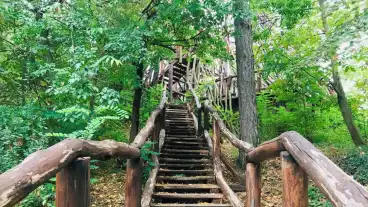 Tamasi Vas Kilato 01