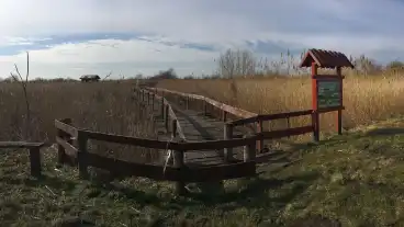 Tapiogyorgye Bibic Tanosveny 1