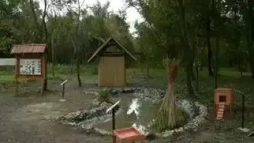 Tapiogyorgye Fulemule Tanosveny 2