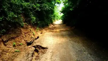 Tapioszecso Urges Tanosveny 1