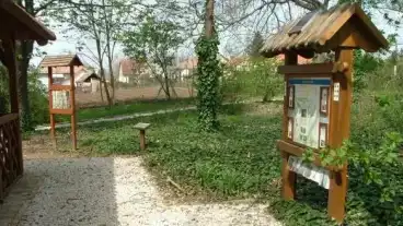 Tapioszele Botanikai Tanosveny 1