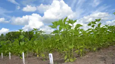 Tapioszele Nemzeti Biodiverzitas Es Genmegorzesi Kozpont 1