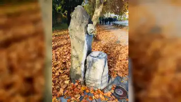 Tapolca Kosfejes Ivokut