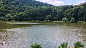 Tardos Malom Volgyi Tanosveny 02