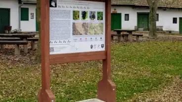 Tarjan Nemet Nemzetisegi Tanosveny