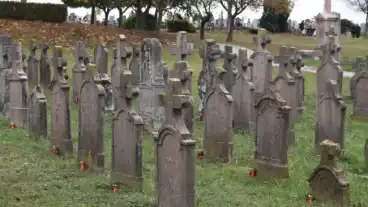 Tarjan Temetoi Sirpark 1