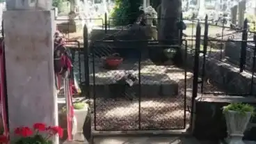 Tarpa Bajcsy Zsilinszky Siremlek