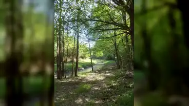 Tarpa Szolohegy Tanosveny