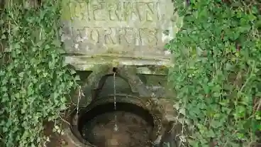 Tihany Ciprian Forras