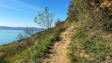 Tihany Loczy Gejzir Setaut 01