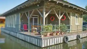 Tiszafured Kormoran Kikoto 1