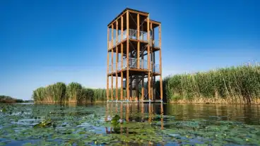 A Küszvágó csér kilátóval gazdagodott a Tisza-tó