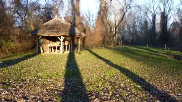 Tiszafured Tiszavirag Arteri Setaut 03