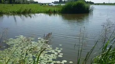 Tiszakecske Holt Tisza