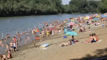 Tiszakecske Tisza