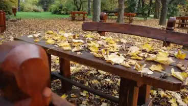 Tiszaloki Arboretum 1