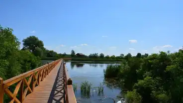 Tiszaloki Kenyergyari Holtag