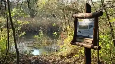 Tiszaorveny Pakasz Tanosveny 1