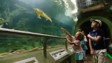 Tiszatavi Okocentrum 1