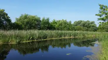 Tiszavalki Focsatorna