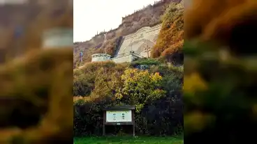 Tokaj Borostyan Tanosveny