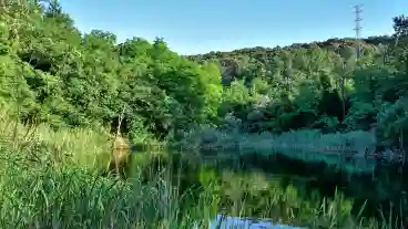 Tokod Miklos Bereki To 1