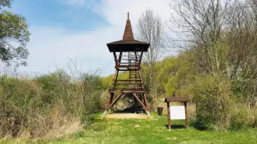 Toreki Tavak Tanosveny 015