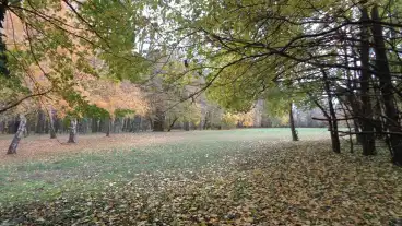 Tormasliget Angol Park