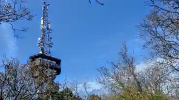 Torokalint Anna Hegyi Kilato