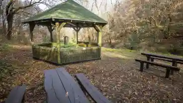 Torokalint Tavaszi Herics Tanosveny