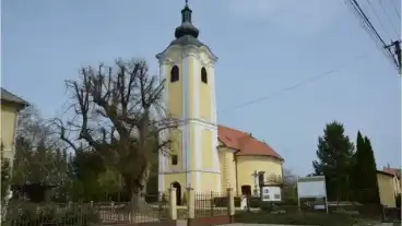 Totszentmarton Katolikus Templom