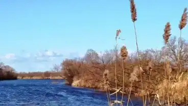 Tunyogmatolcs Holt Szamos