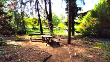 Tuzson Janos Botanikus Kert 1