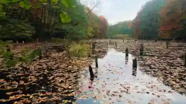 Ugod Hubertlaki To 06