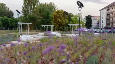 Ujpest Levendulapark 2