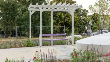 Megnyílt a főváros első levendulaparkja