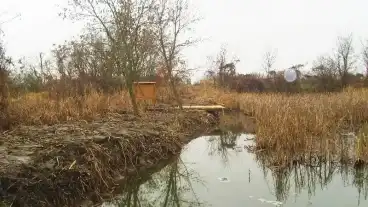 Ujszentmargita Margi Tanosveny 1