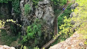 Urkuti Oskarszt 0013