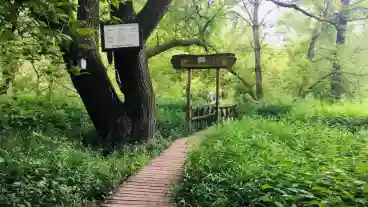 Vac Arteri Tanosveny 01