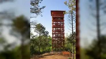 Vallus Lazhegyi Kilato