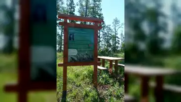 Vallus Medvehagyma Tanosveny